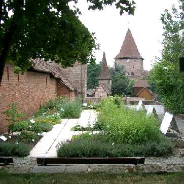 Heilpflanzengarten